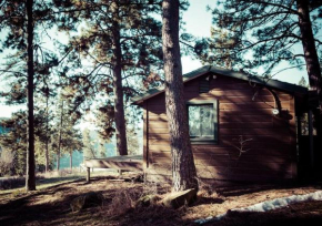 Lakeview cabin on a hilltop-5 min from the beach/ Ski Resorts near by!